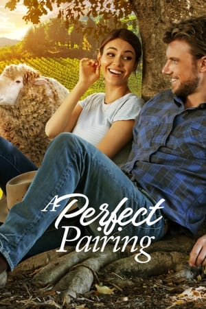 A Perfect Pairing (2022) Hindi Dual Audio – HD Poster Download - Filmyzilla