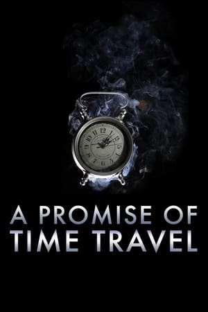A Promise of Time Travel 2016 Hindi Dual Audio 300MB HD Poster Download - Filmyzilla