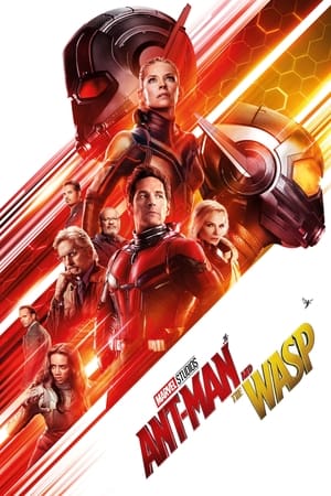 Ant-Man and the Wasp 2018 Movie (English) [900MB] HD Poster Download - Filmyzilla