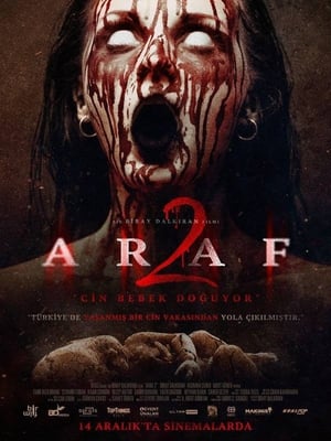 Araf 2 2019 Hindi Dual Audio 300MB HD Poster Download - Filmyzilla