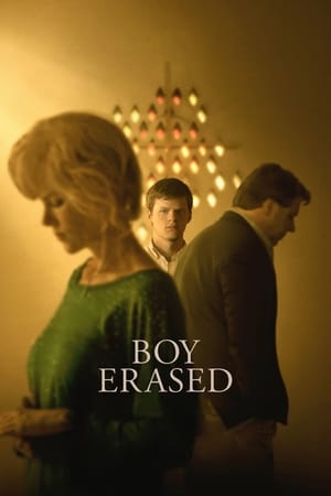 Boy Erased (2018) Hindi Dual Audio [900MB] HD Poster Download - Filmyzilla