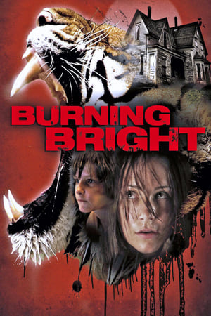 Burning Bright (2010) Hindi Dual Audio [750MB] HD Poster Download - Filmyzilla