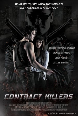 Contract Killers (2014) 100mb Hindi Dual Audio movie Download HD Poster Download - Filmyzilla