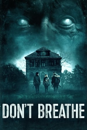 Don't Breathe (2016) Hindi Dual Audio 300MB HD Poster Download - Filmyzilla