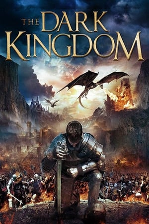 Dragon Kingdom (2018) Hindi Dual Audio [850MB] HD Poster Download - Filmyzilla