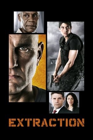 Extraction 2013 Hindi Dual Audio 330MB HD Poster Download - Filmyzilla