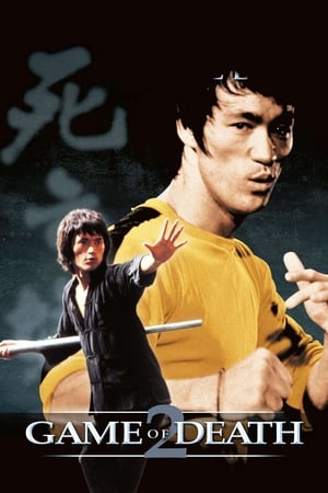Game of Death II (1981) Dual Audio Hindi Movie - 1.1GB HD Poster Download - Filmyzilla