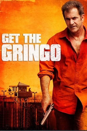 Get the Gringo (2012) Hindi Dual Audio 300MB HD Poster Download - Filmyzilla