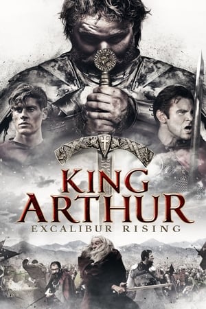 King Arthur: Excalibur Rising 2017 Hindi Dual Audio – HD Poster Download - Filmyzilla