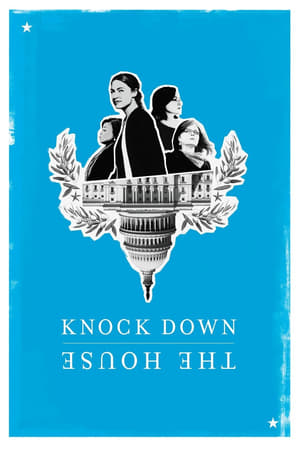 Knock Down the House (2019) Hindi Dual Audio 300MB HD Poster Download - Filmyzilla