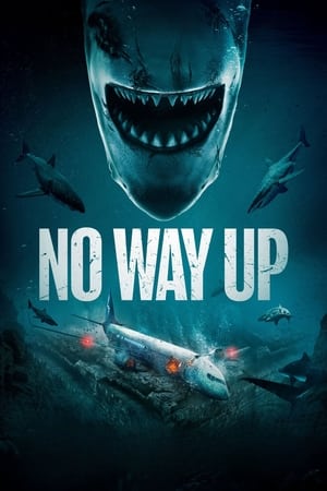 No Way Up (2024) Hindi Dual Audio – – HD Poster Download - Filmyzilla
