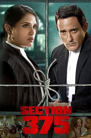 Section 375 (2019) Hindi Movie - [360MB] HD Poster Download - Filmyzilla