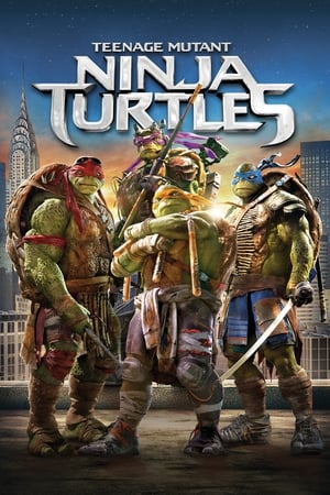Teenage Mutant Ninja Turtles (2014) Hindi Dual Audio [950MB] HD Poster Download - Filmyzilla