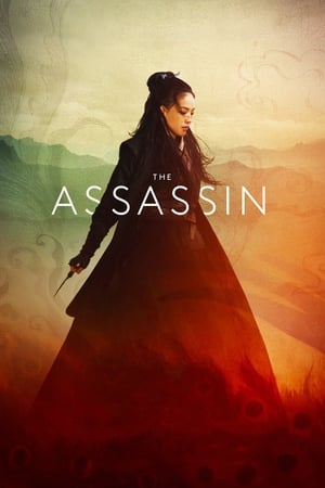 The Assassin 2015 Hindi Dual Audio [1.1GB] HD Poster Download - Filmyzilla