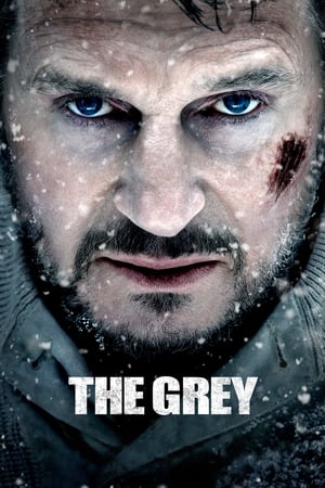 The Grey 2011 Hindi Dual Audio 360MB HD Poster Download - Filmyzilla