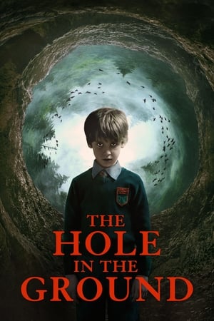 The Hole in the Ground 2019 Hindi Dual Audio [830MB] HD Poster Download - Filmyzilla