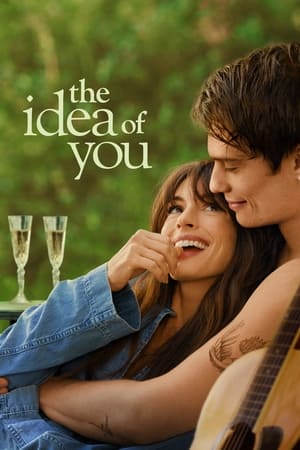 The Idea of You 2024 Hindi Dual Audio – 720p – HD Poster Download - Filmyzilla