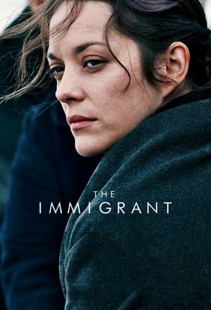 The Immigrant (2013) Hindi Dual Audio [880MB] HD Poster Download - Filmyzilla