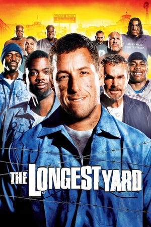 The Longest Yard (2005) Hindi Dual Audio 350MB HD Poster Download - Filmyzilla