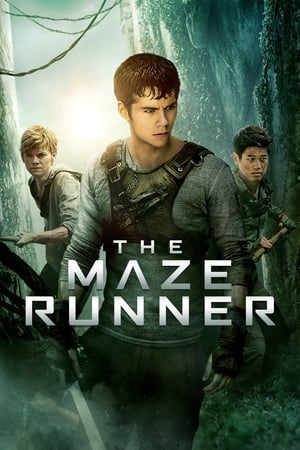 The Maze Runner (2014) Hindi Dual Audio [1.1GB] HD Poster Download - Filmyzilla