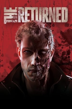 The Returned 2013 Dual Audio Hindi 300MB HD Poster Download - Filmyzilla