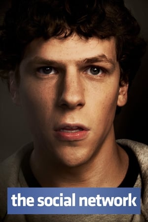 The Social Network 2010 Hindi Dual Audio 400MB HD Poster Download - Filmyzilla