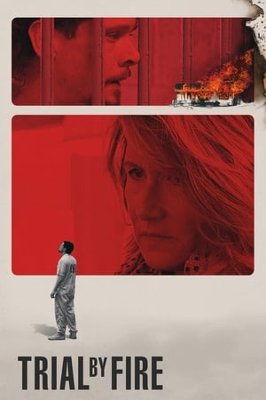 Trial by Fire 2018 Hindi Dual Audio 400MB HD Poster Download - Filmyzilla