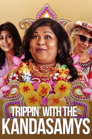 Trippin with the Kandasamys 2021 Hindi Dual Audio [850MB] HD Poster Download - Filmyzilla
