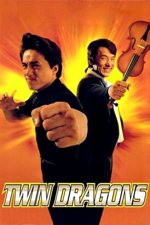 Twin Dragons (1992) 100mb Hindi Dual Audio movie Download HD Poster Download - Filmyzilla
